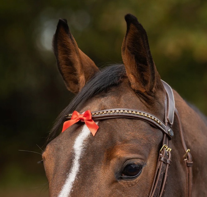 FIOCCO ROSSO PER FRONTALINO "ATTENZIONE IO CALCIO" Beauty 